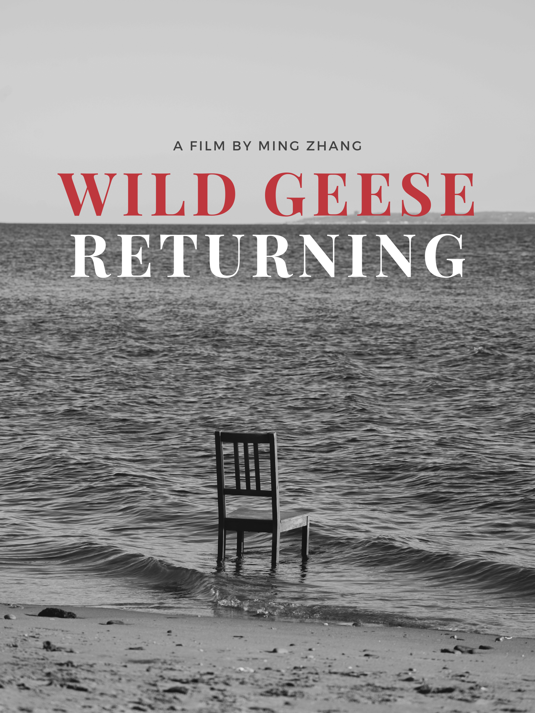 Wild Geese Returning,TRAILER,2022